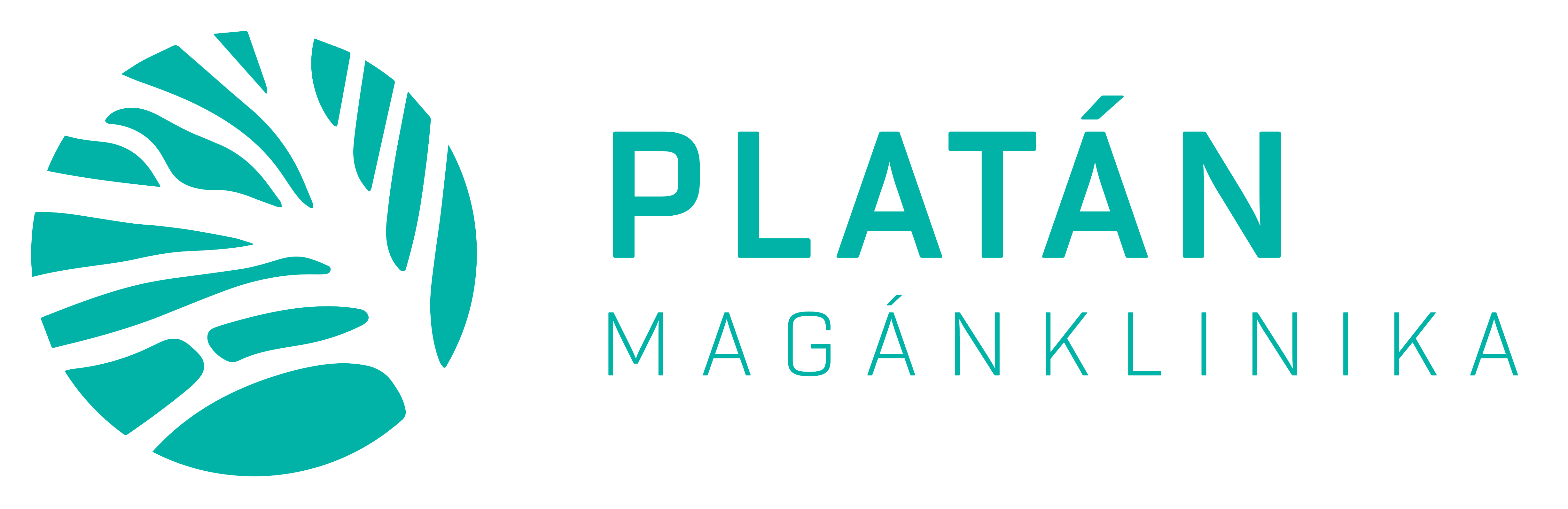 Platán - LOGO B (1)-nobg